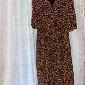 Zara Cheetah Print Dress